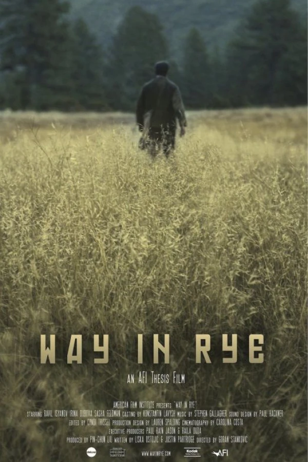 Way in Rye Poster