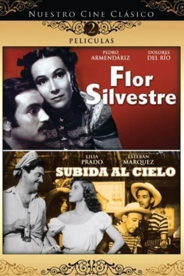 Flor silvestre Poster