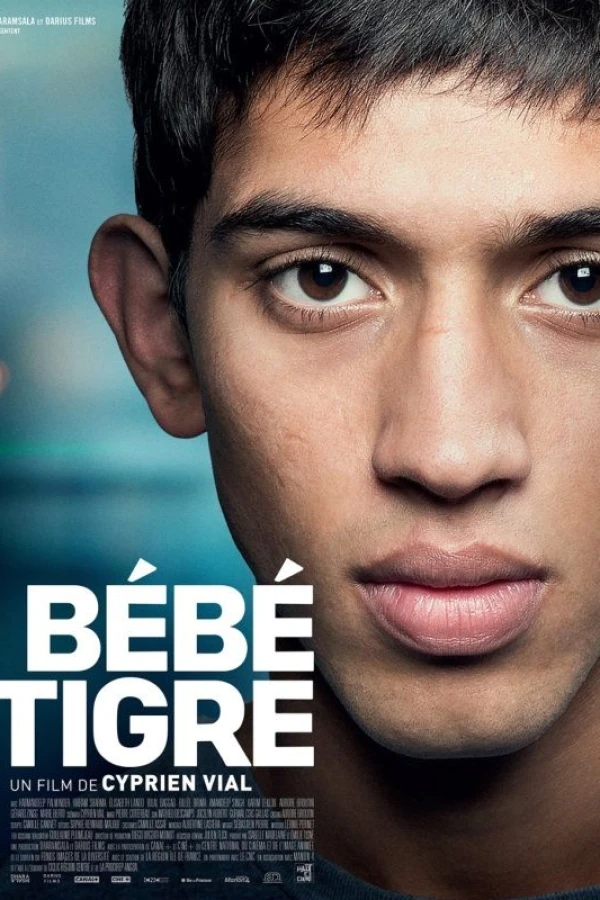 Young Tiger Poster