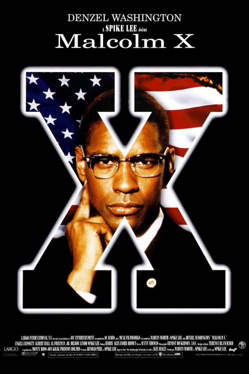 Malcolm X Poster