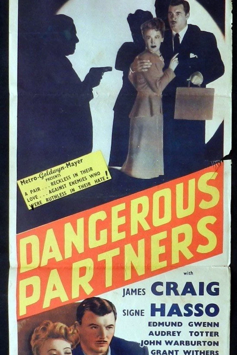 Dangerous Partners Poster