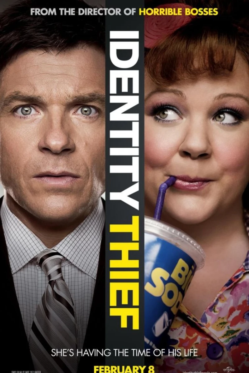 Identity Thief Poster