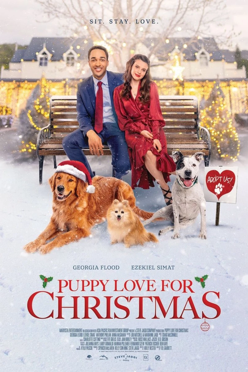 Puppy love for Christmas Poster