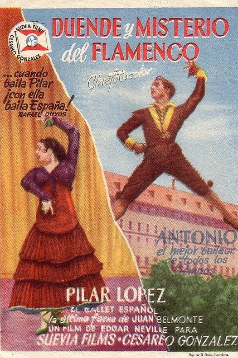 Flamenco Poster