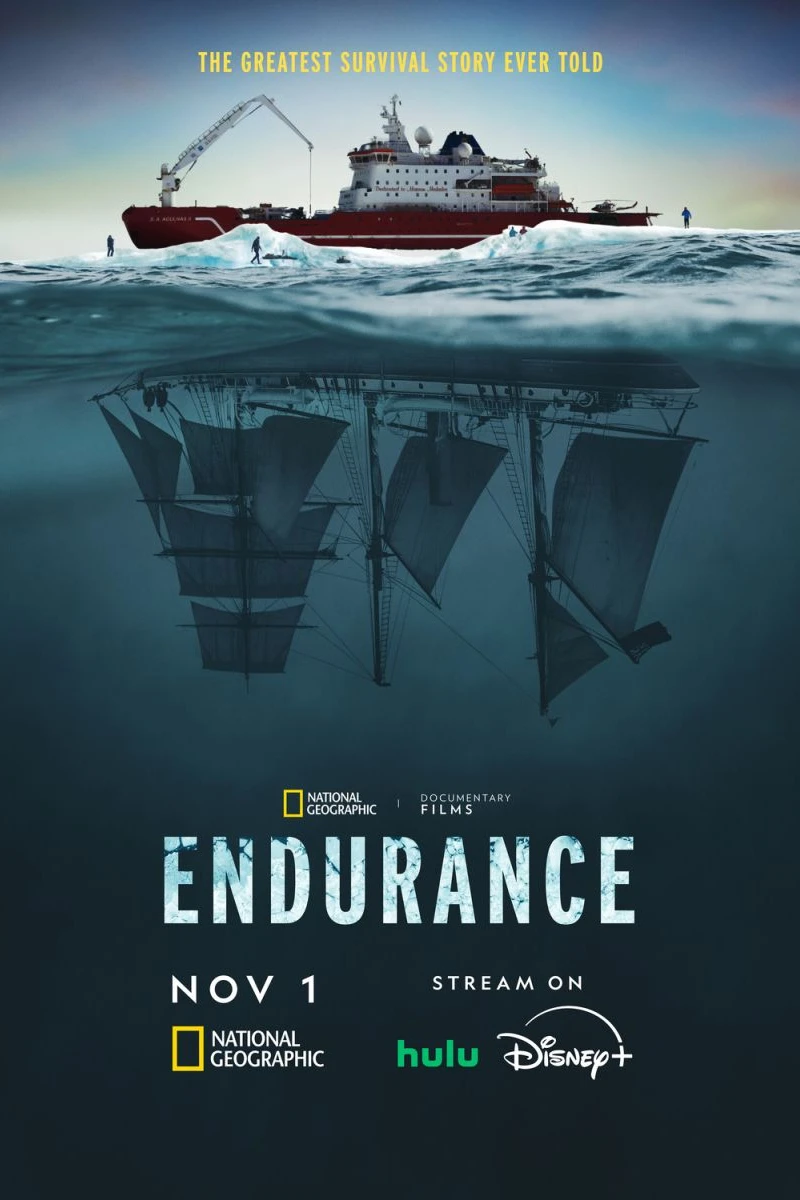 Endurance Poster