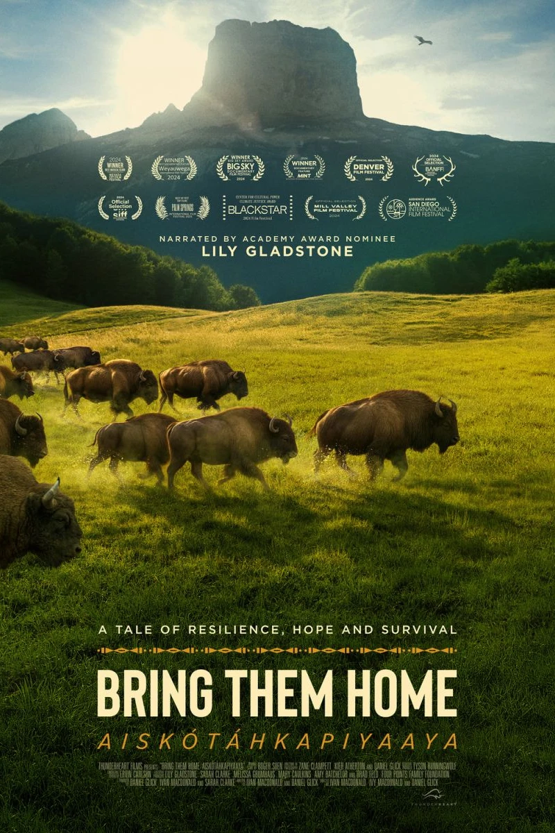 Buffalo Stone Poster