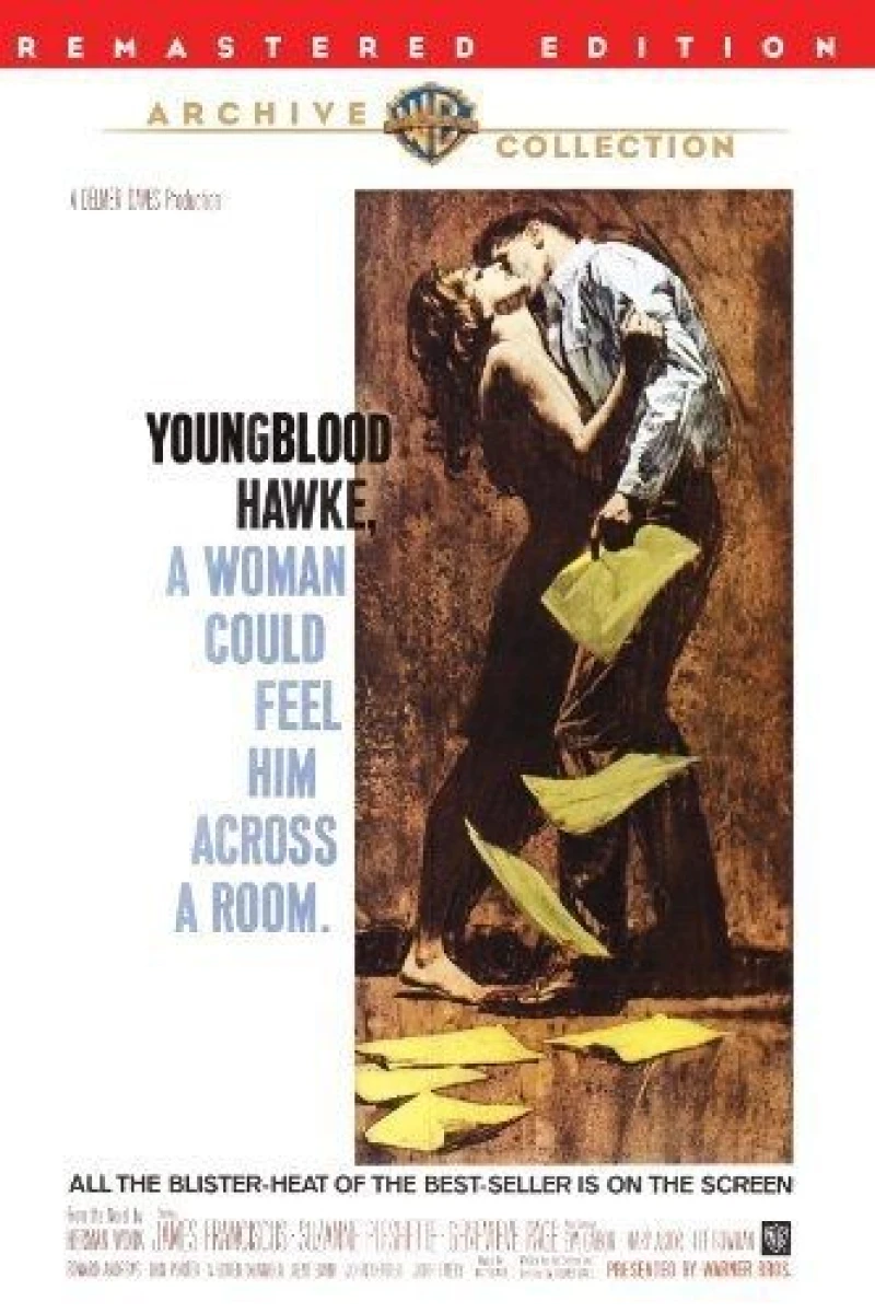 Youngblood Hawke Poster