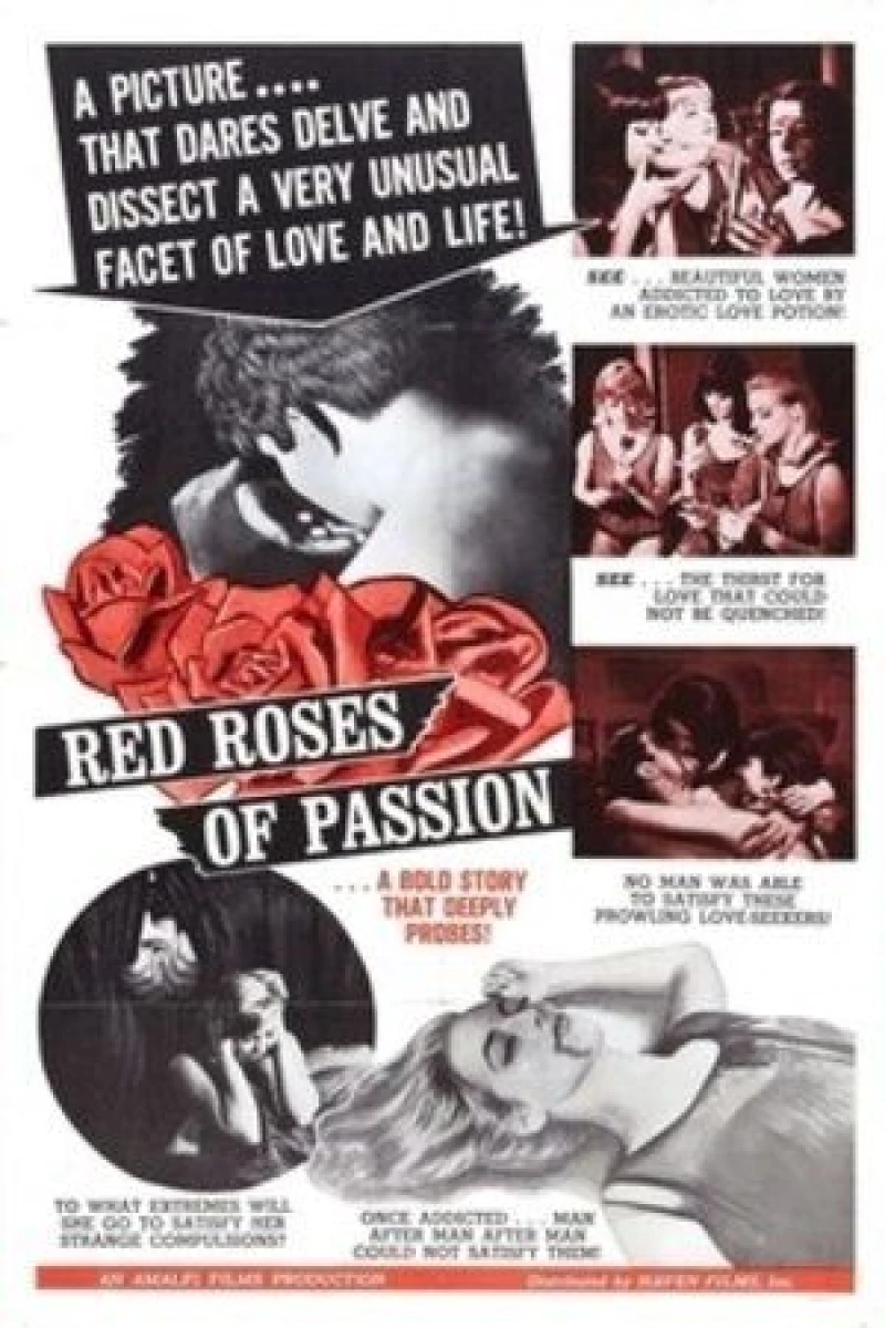 Red Roses of Passion Poster