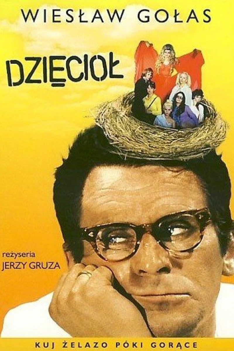 Dzieciol Poster