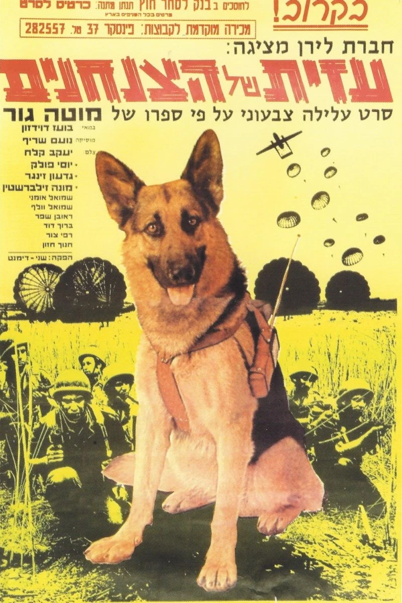 Azit Hakalba Hatzanhanit Poster