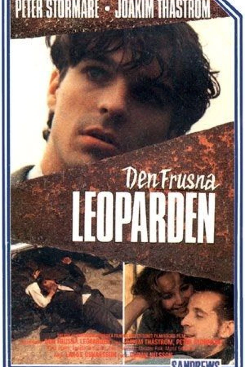 Den frusna leoparden Poster