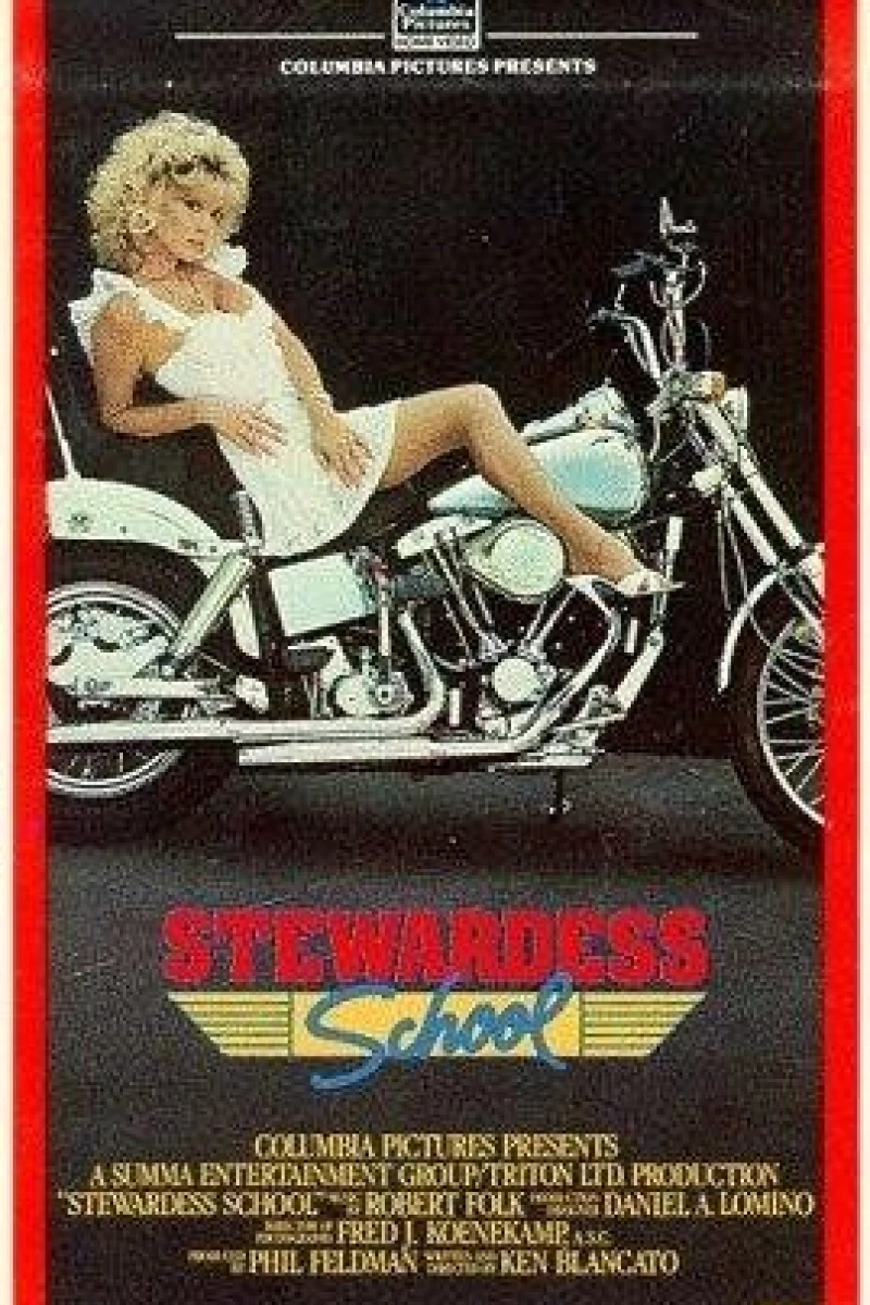 Stewardess School Poster