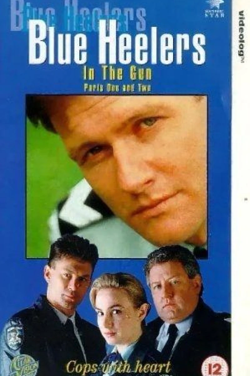 Blue Heelers Poster