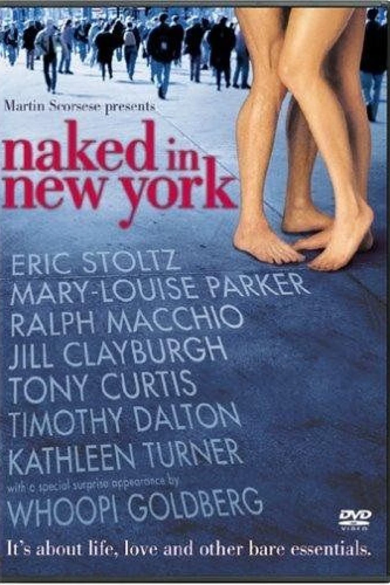 Naked in New York Poster