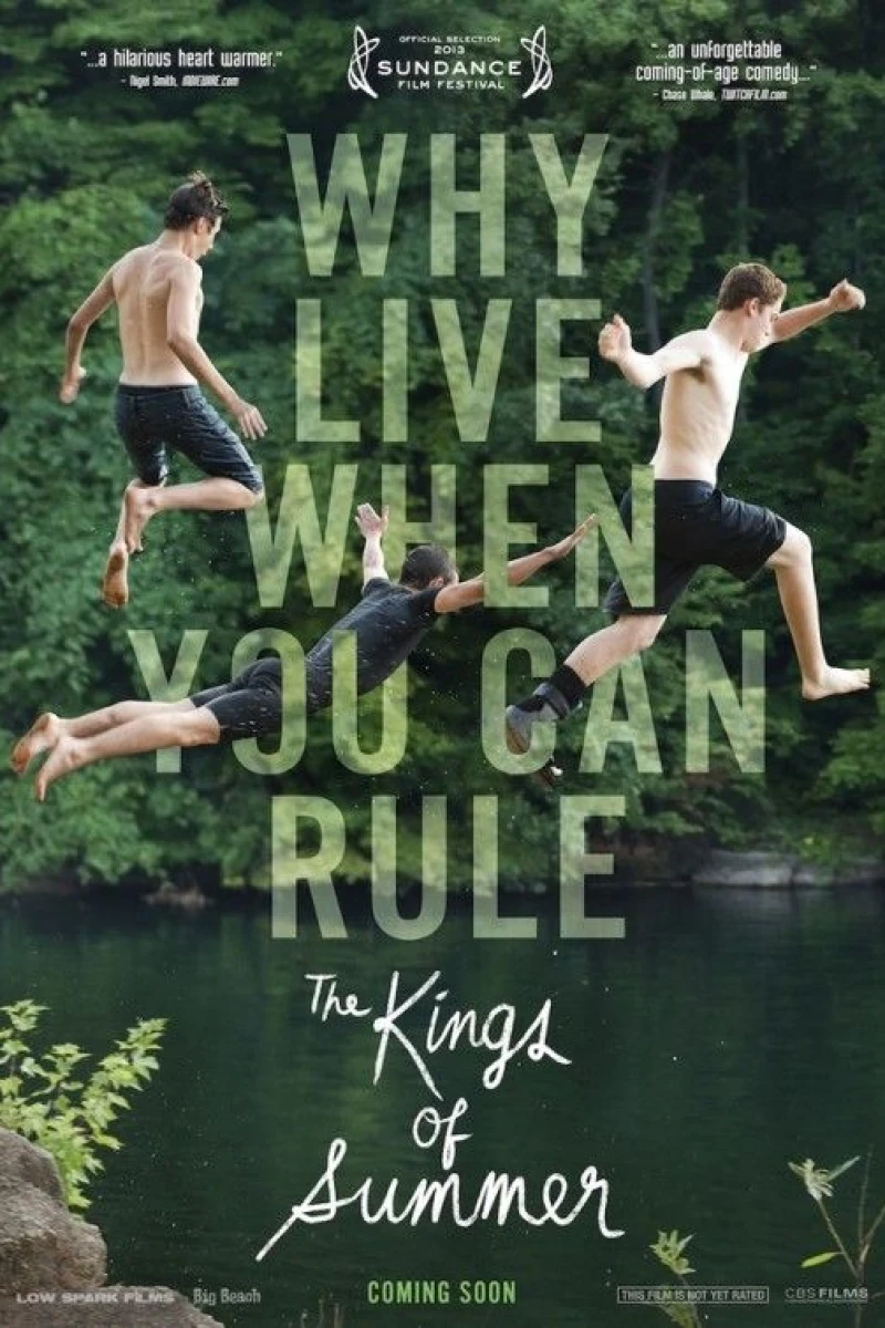 The Kings of Summer Poster