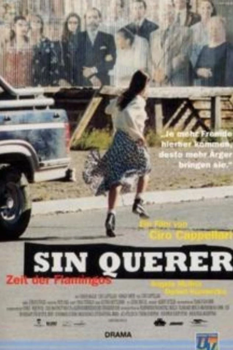 Sin querer Poster