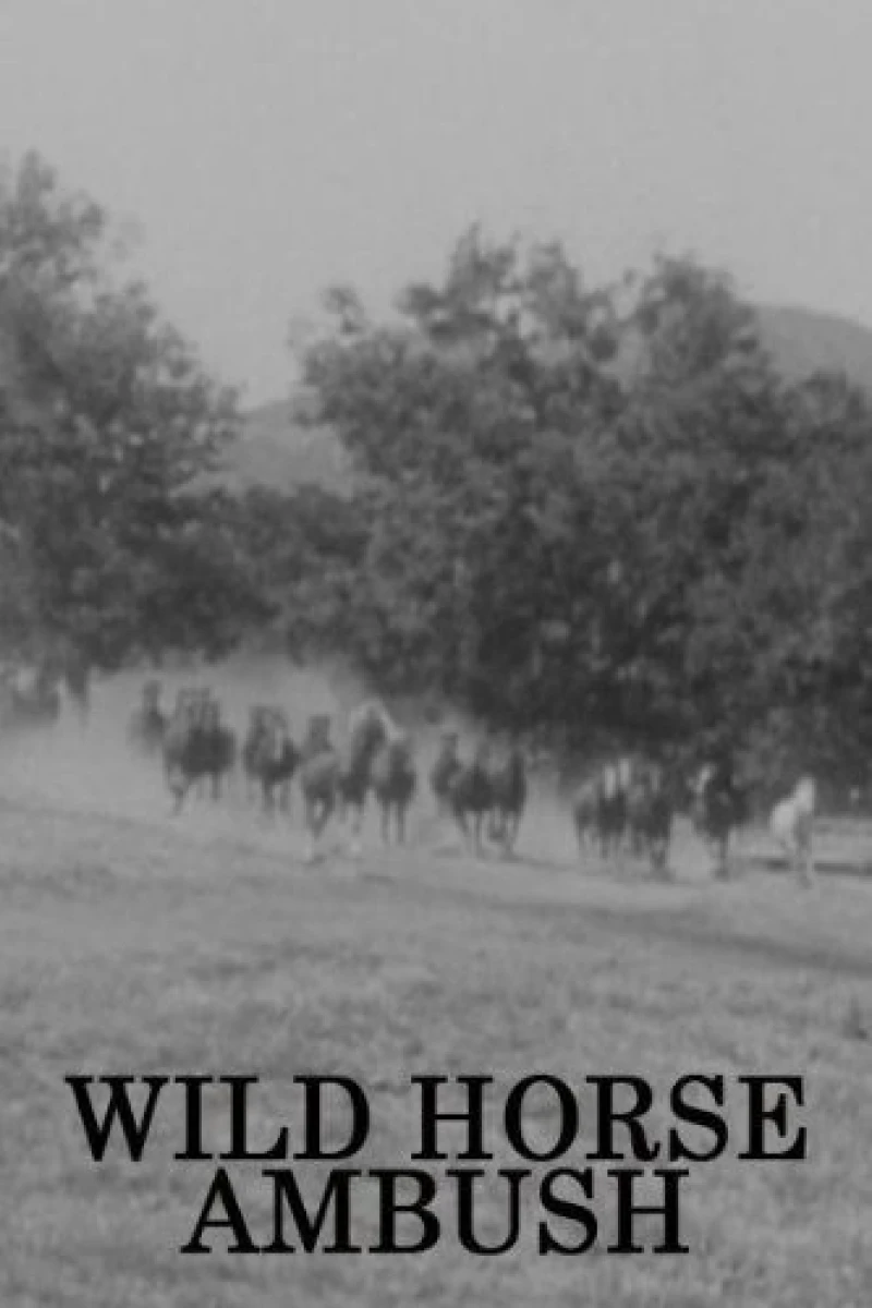 Wild Horse Ambush Poster