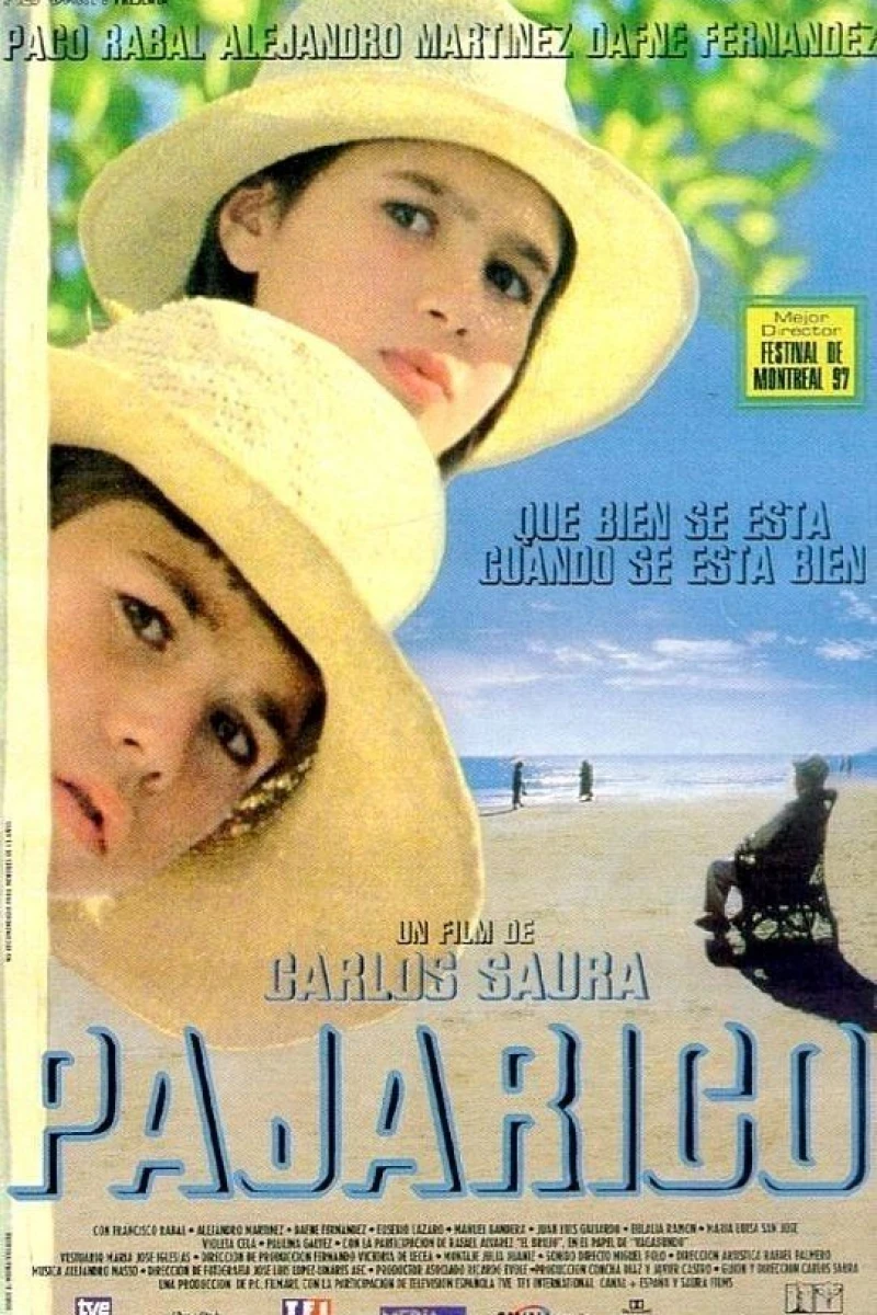 Pajarico Poster