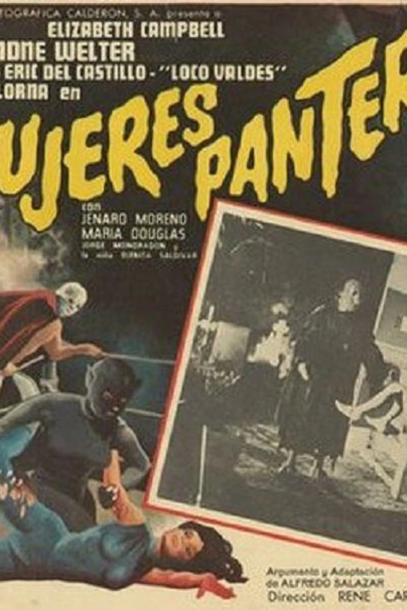 Las mujeres panteras Poster