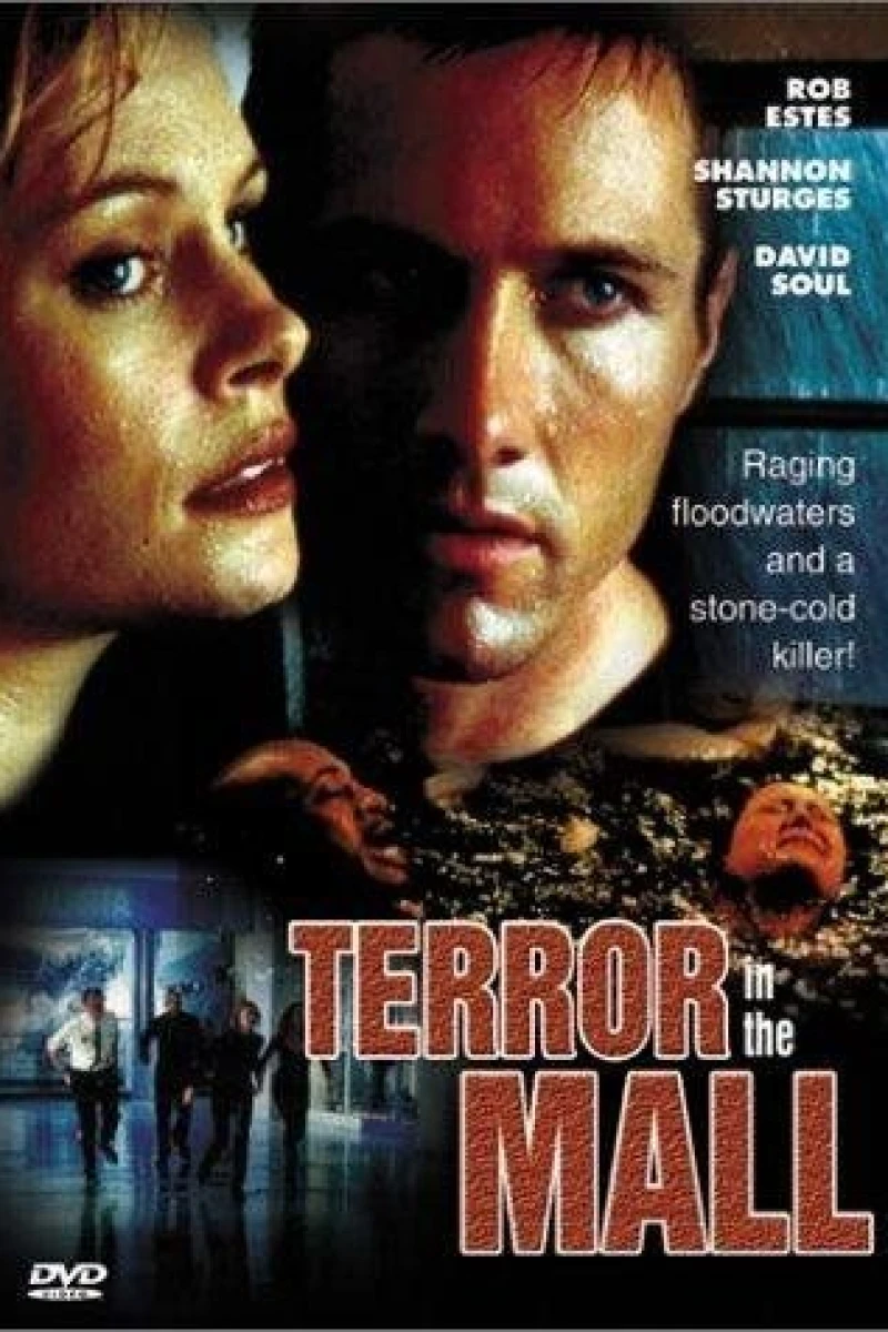 Terror in the Mall Poster