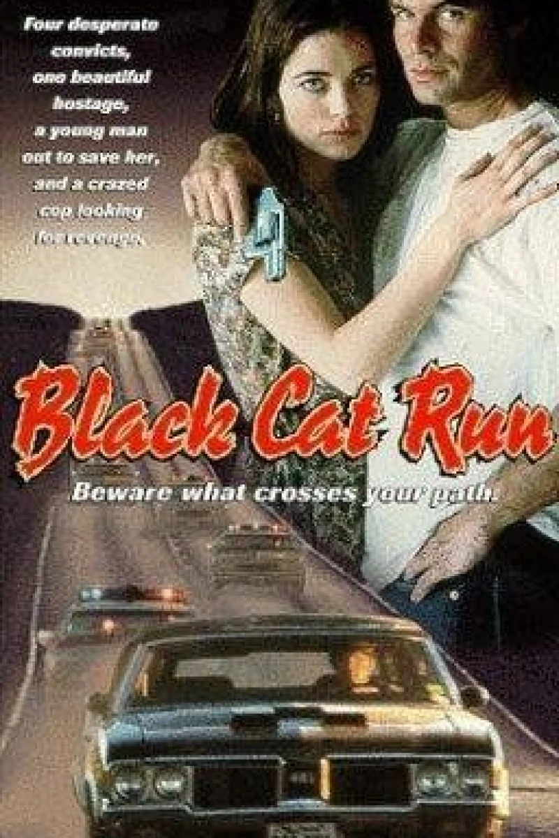 Black Cat Run Poster