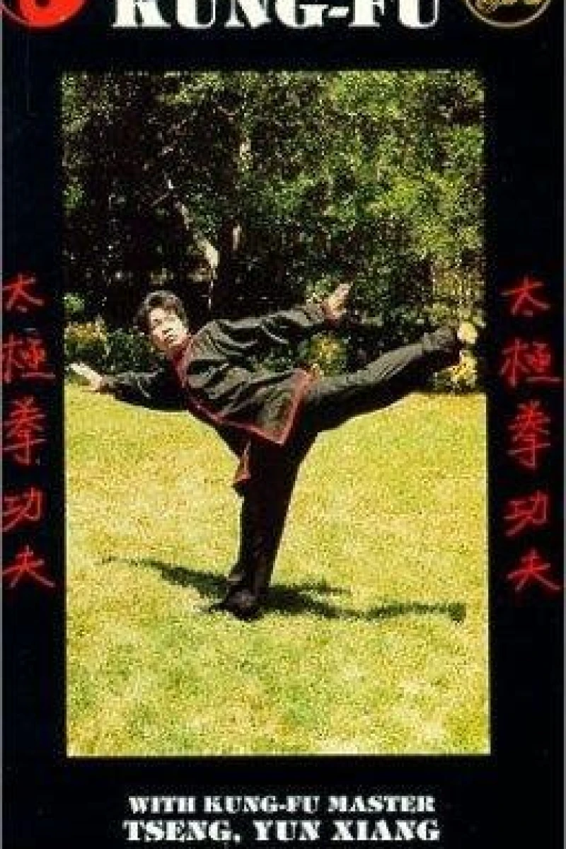 Shaolin Long Arm Poster