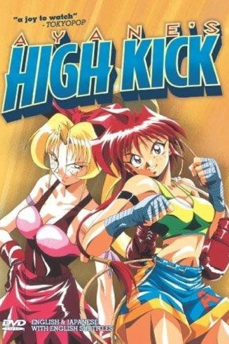 Ayane's High Kick Poster
