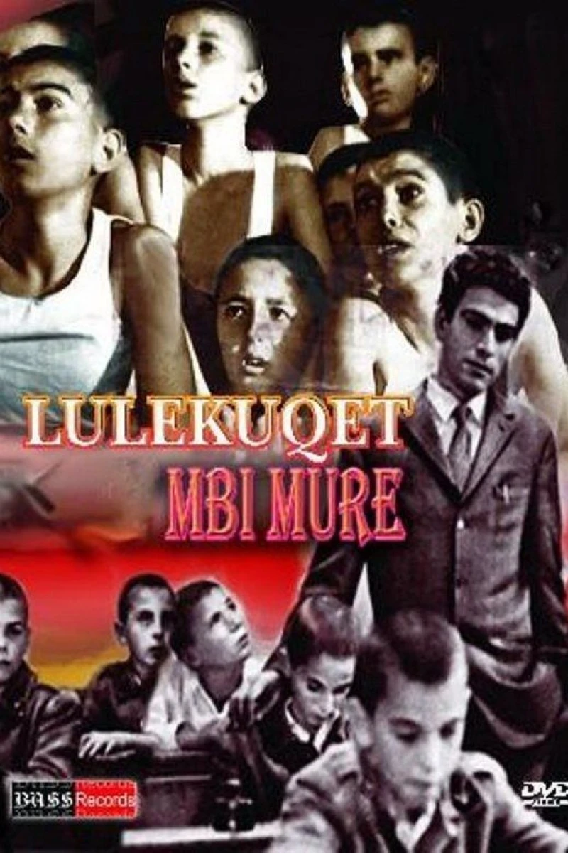 Lulekuqet mbi mure Poster