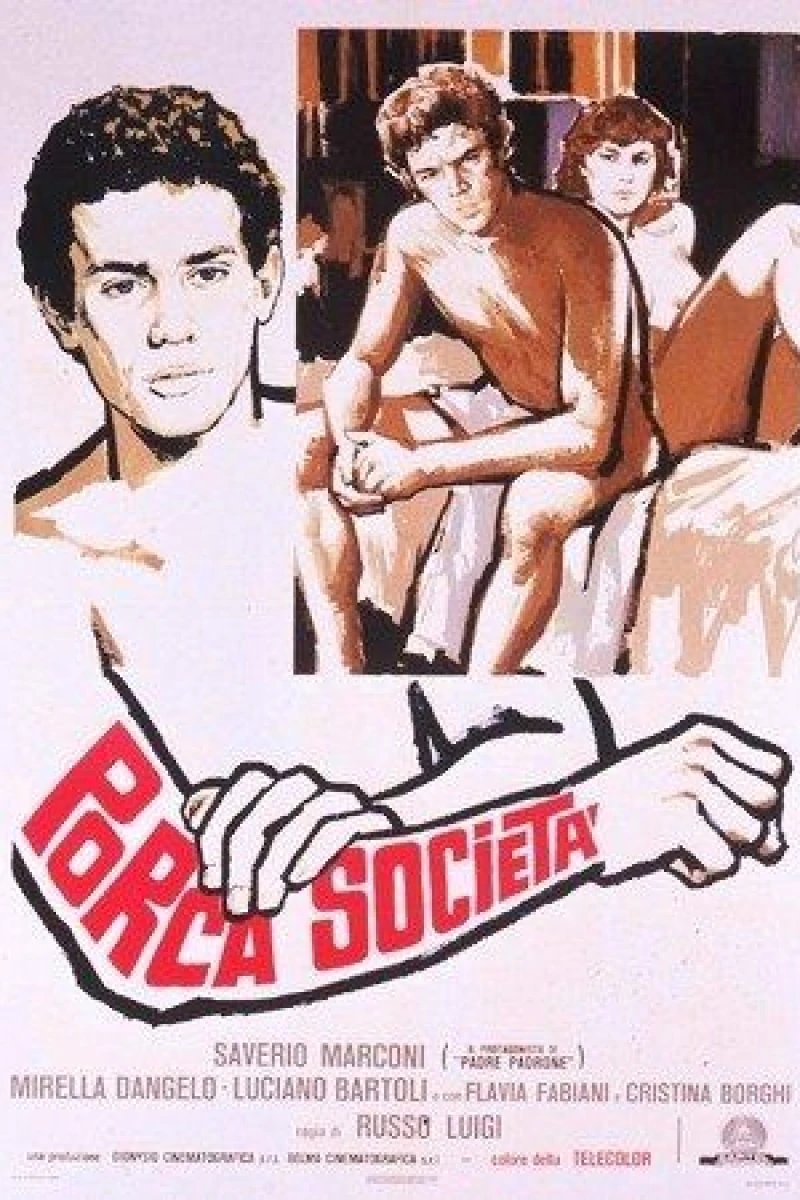 Porca società Poster