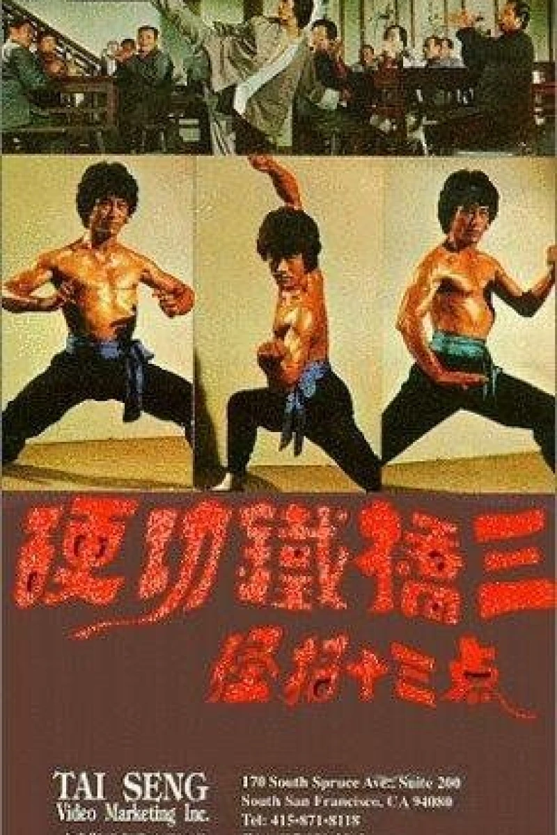 Mean Drunken Master Poster