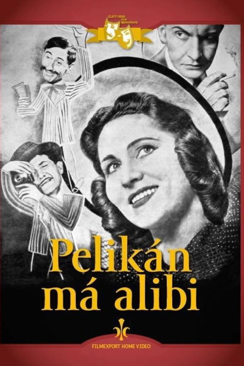 Pelikán má alibi Poster