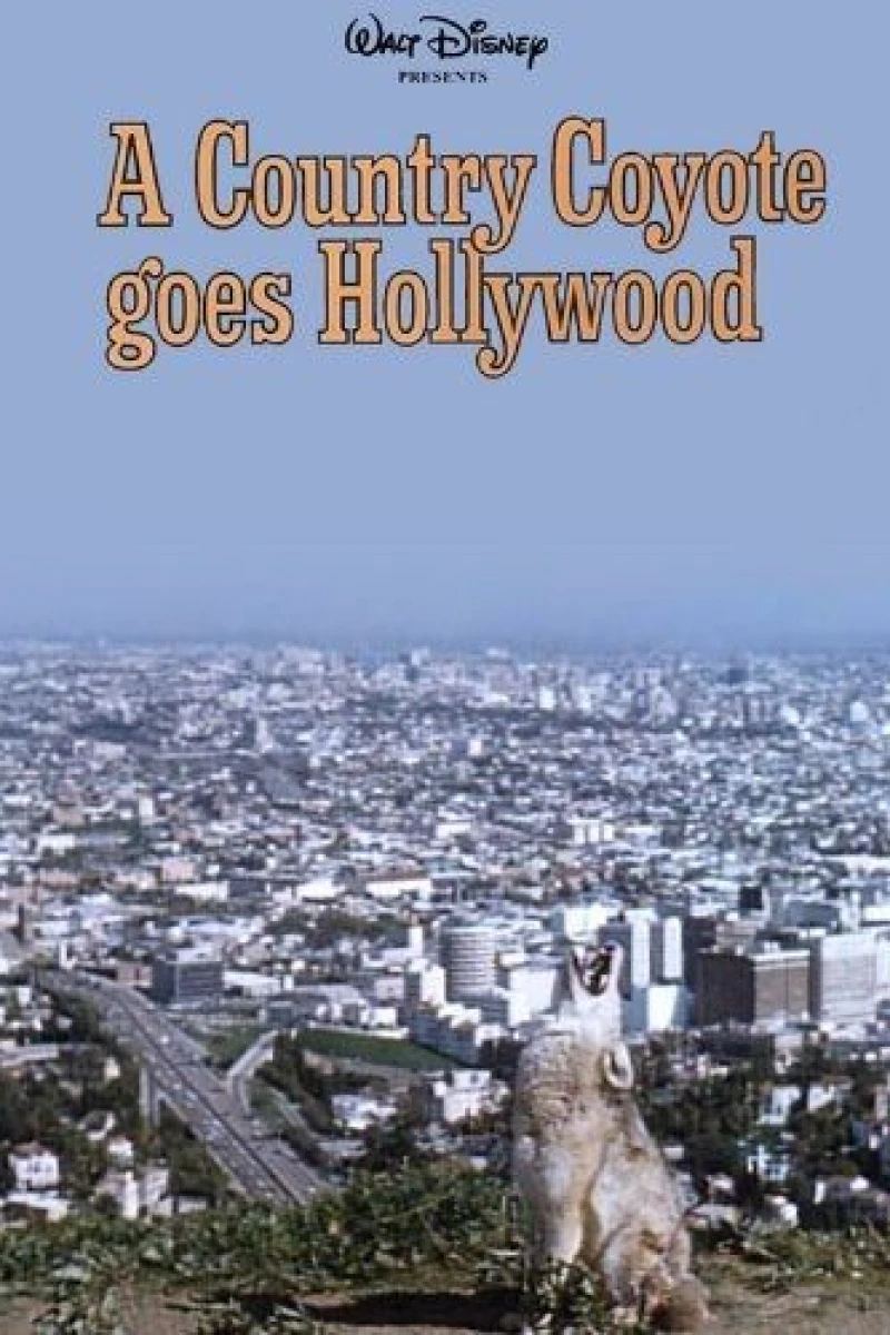 A Country Coyote Goes Hollywood Poster