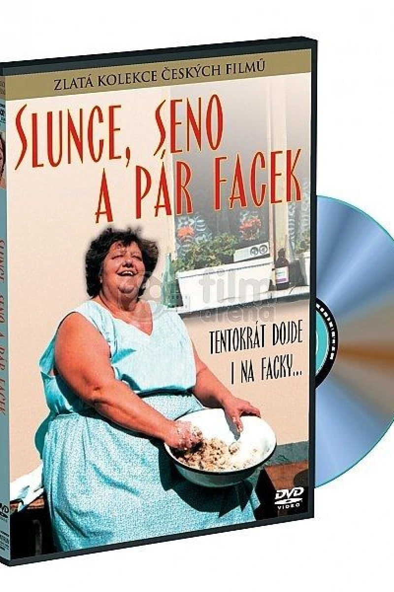 Slunce, seno a pár facek Poster