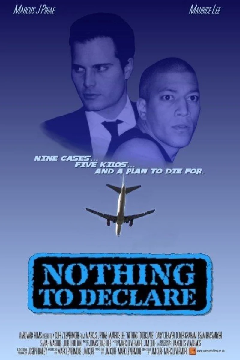 Nothing to Declare Poster