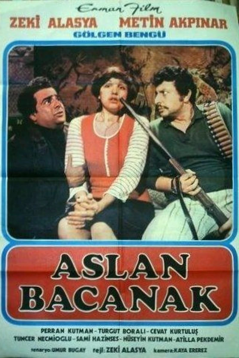 Aslan bacanak Poster