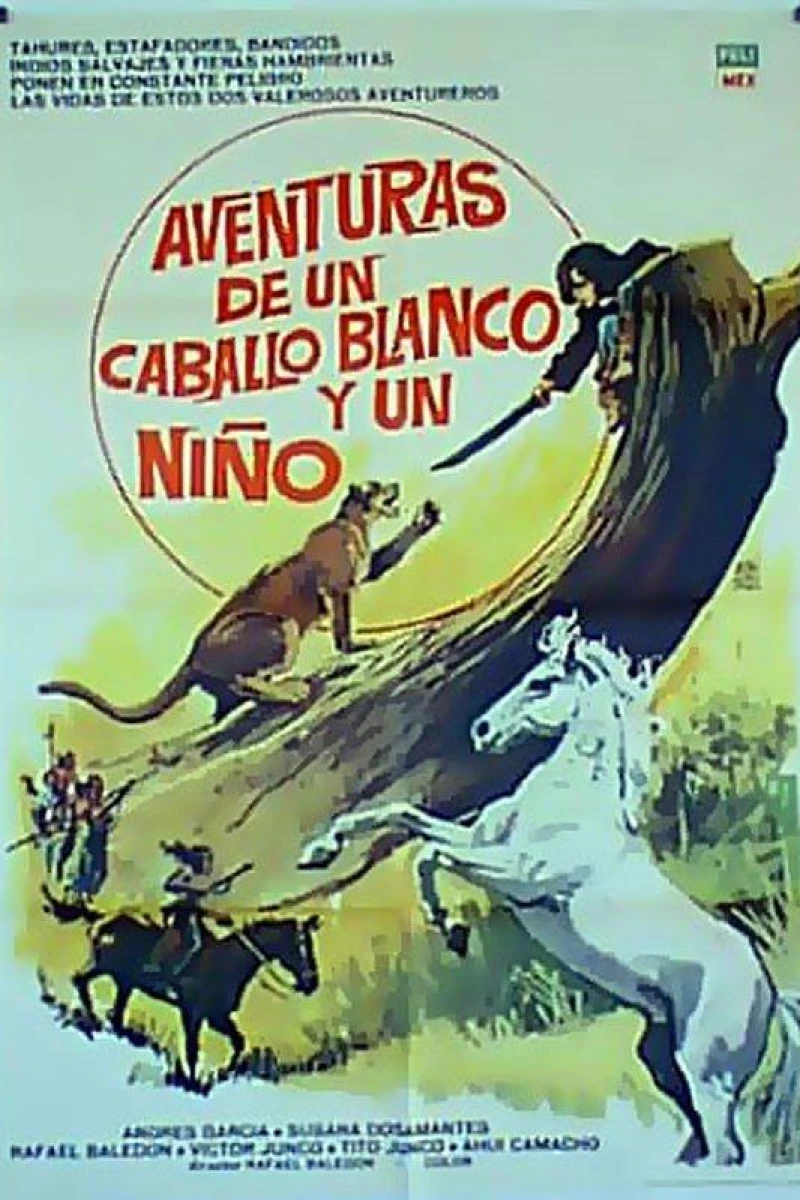 Aventuras de un caballo blanco y un niño Poster