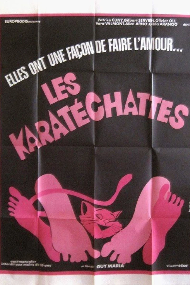 Les pornochattes Poster