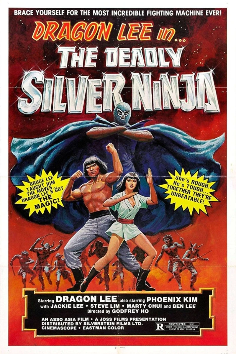 The Deadly Silver Ninja Poster