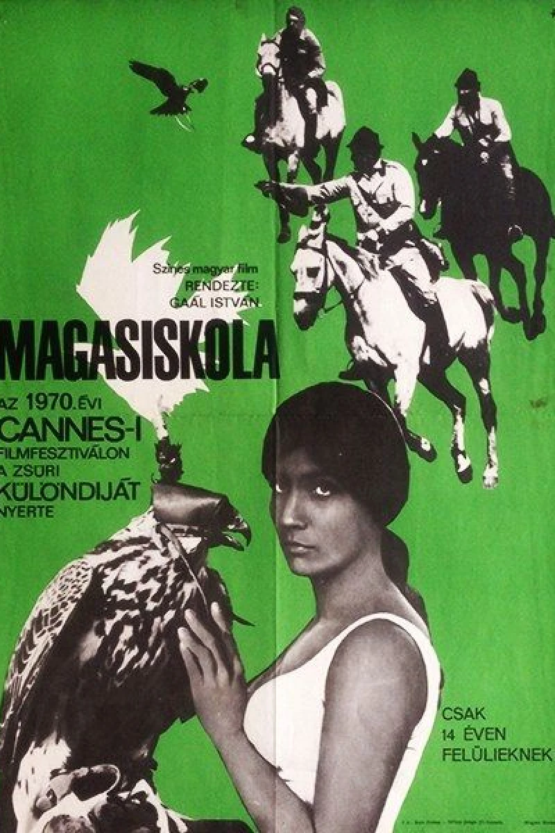 Magasiskola Poster