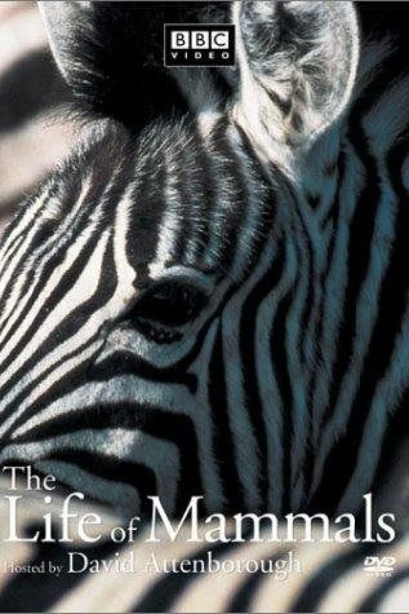 The Life of Mammals Poster