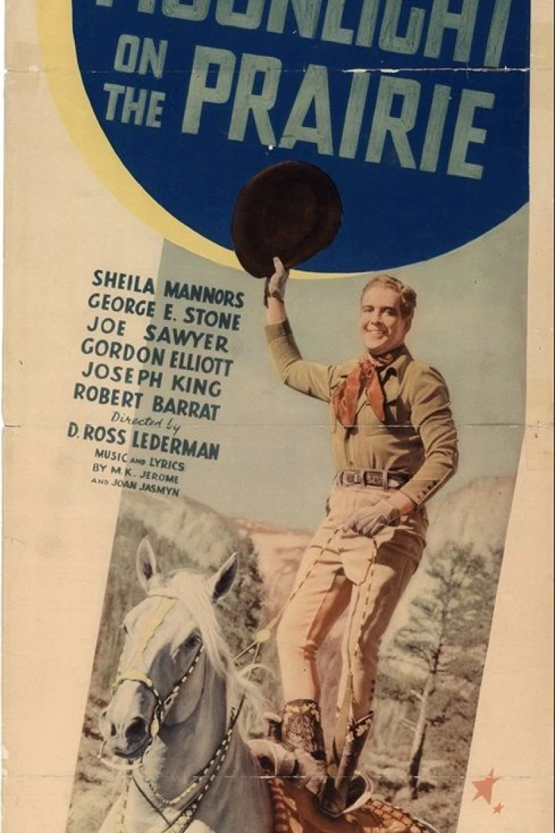 Moonlight on the Prairie Poster