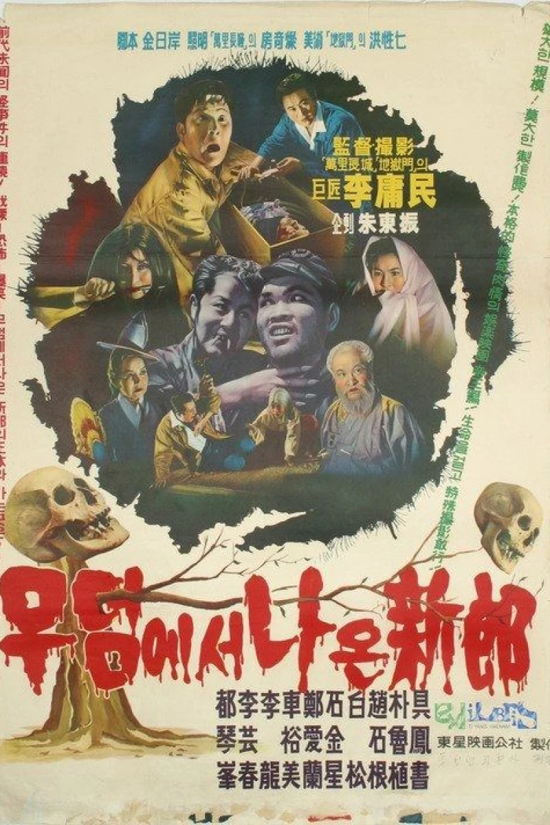 Bride from the Grave Poster