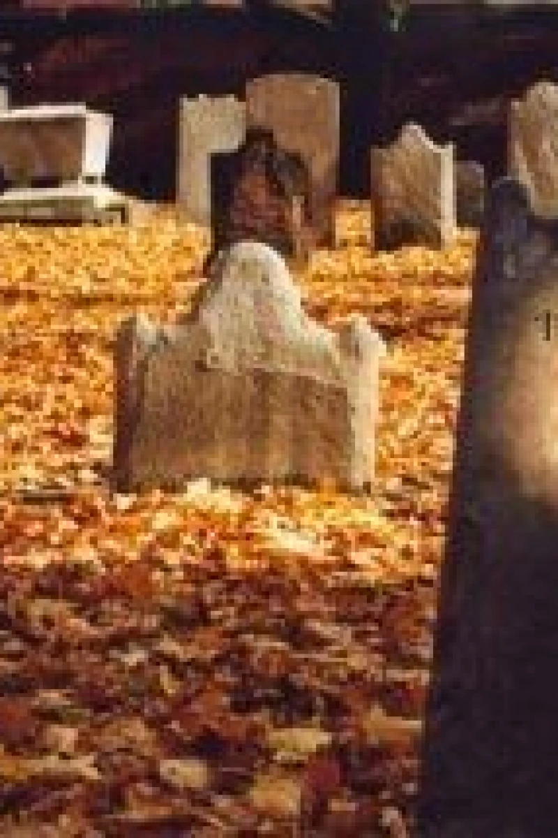 The Day They Died Poster