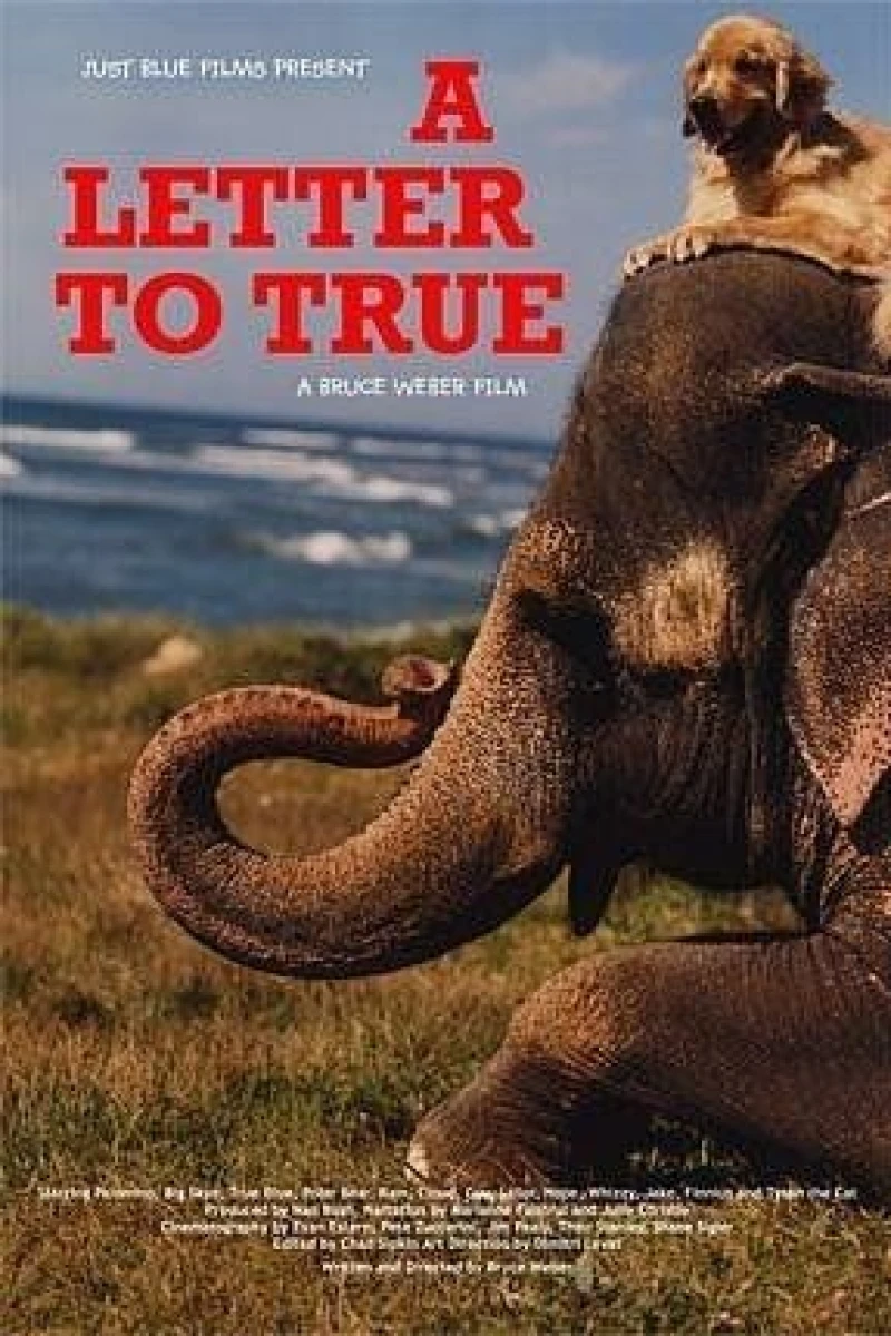 A Letter to True Poster