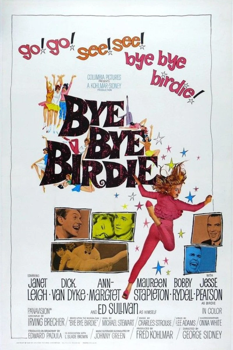 Bye Bye Birdie Poster