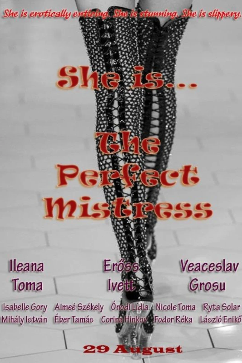 The Perfect Mistress Poster