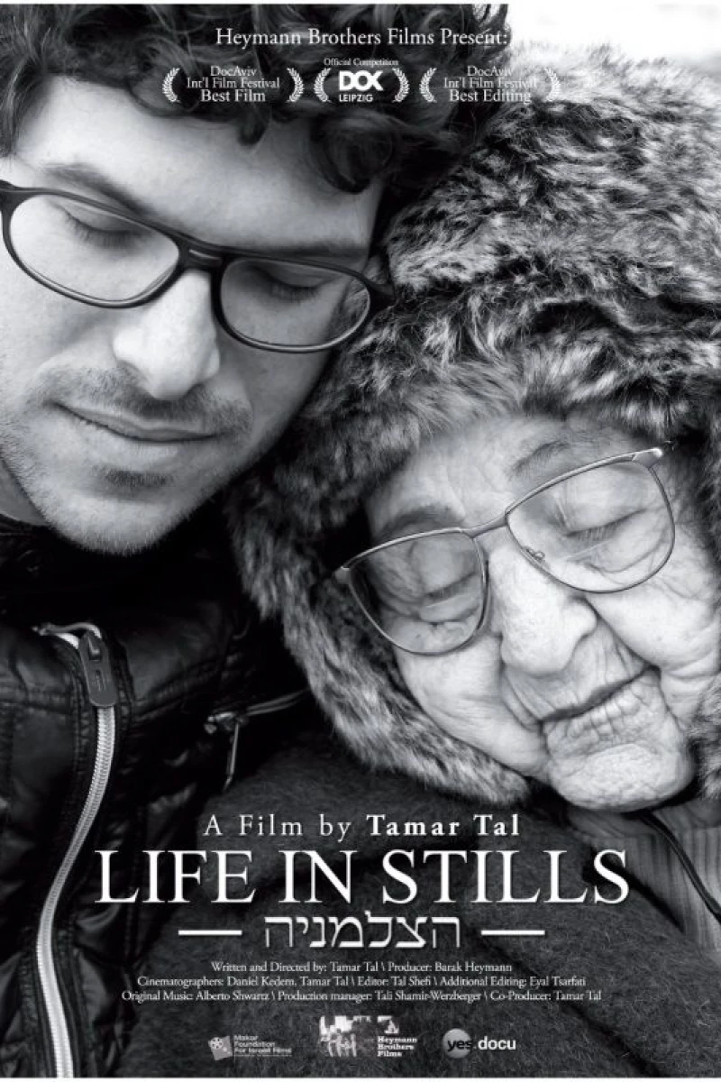 Life in Stills Poster