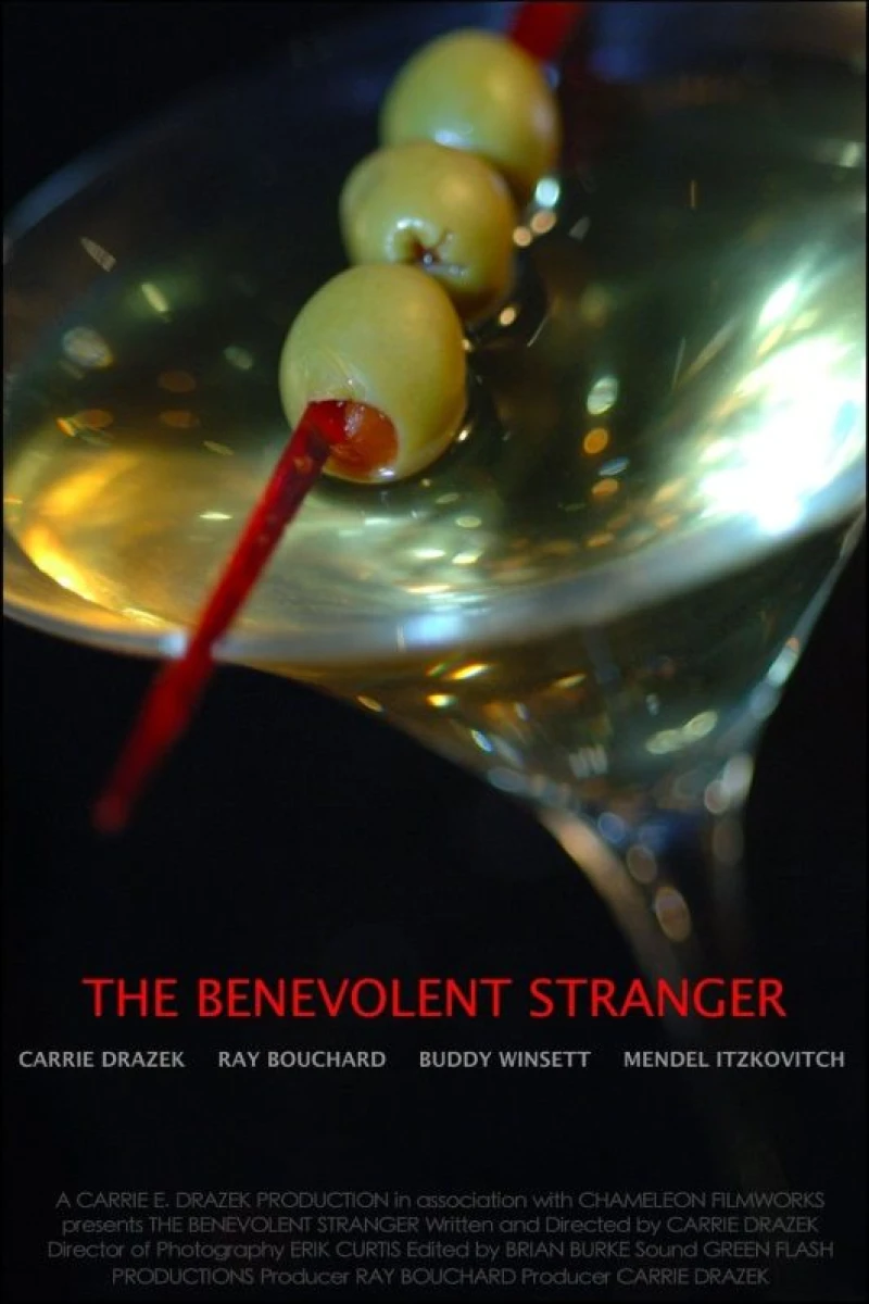 The Benevolent Stranger Poster