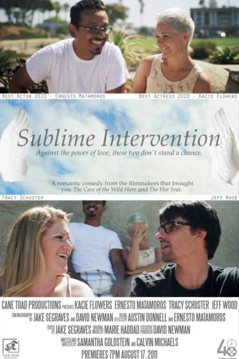 Sublime Intervention Poster