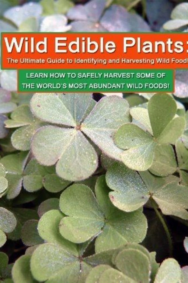 Wild Edible Plants: The Ultimate Guide to Identifying and Harvesting Wild Food! Poster